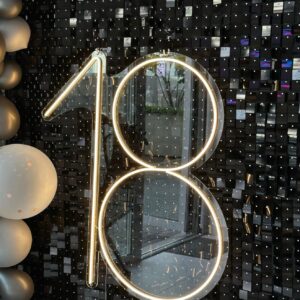 "18" Neon Led