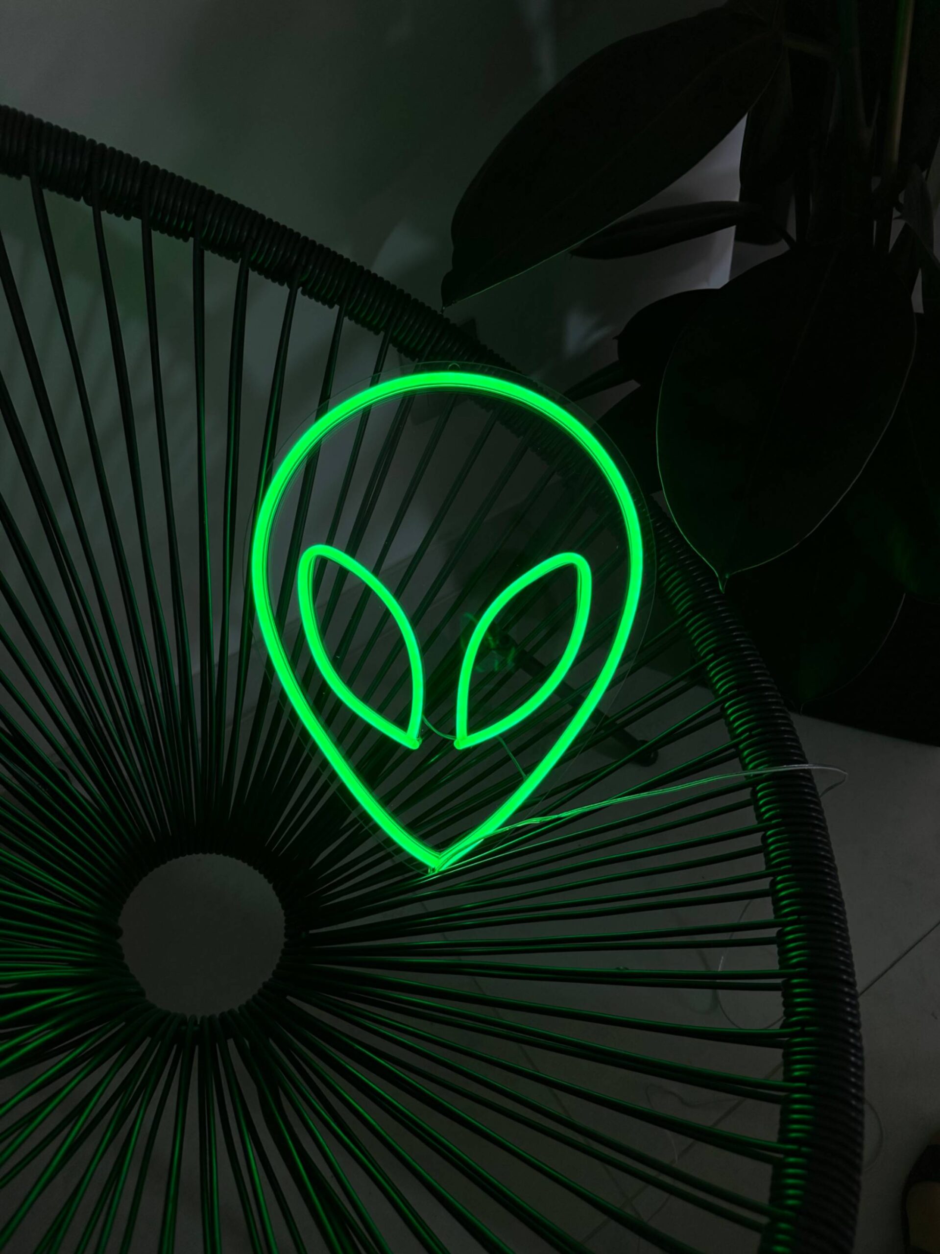 jpeg-optimizer_IMG_1214 "Alien" Neon Led - obrazek 1