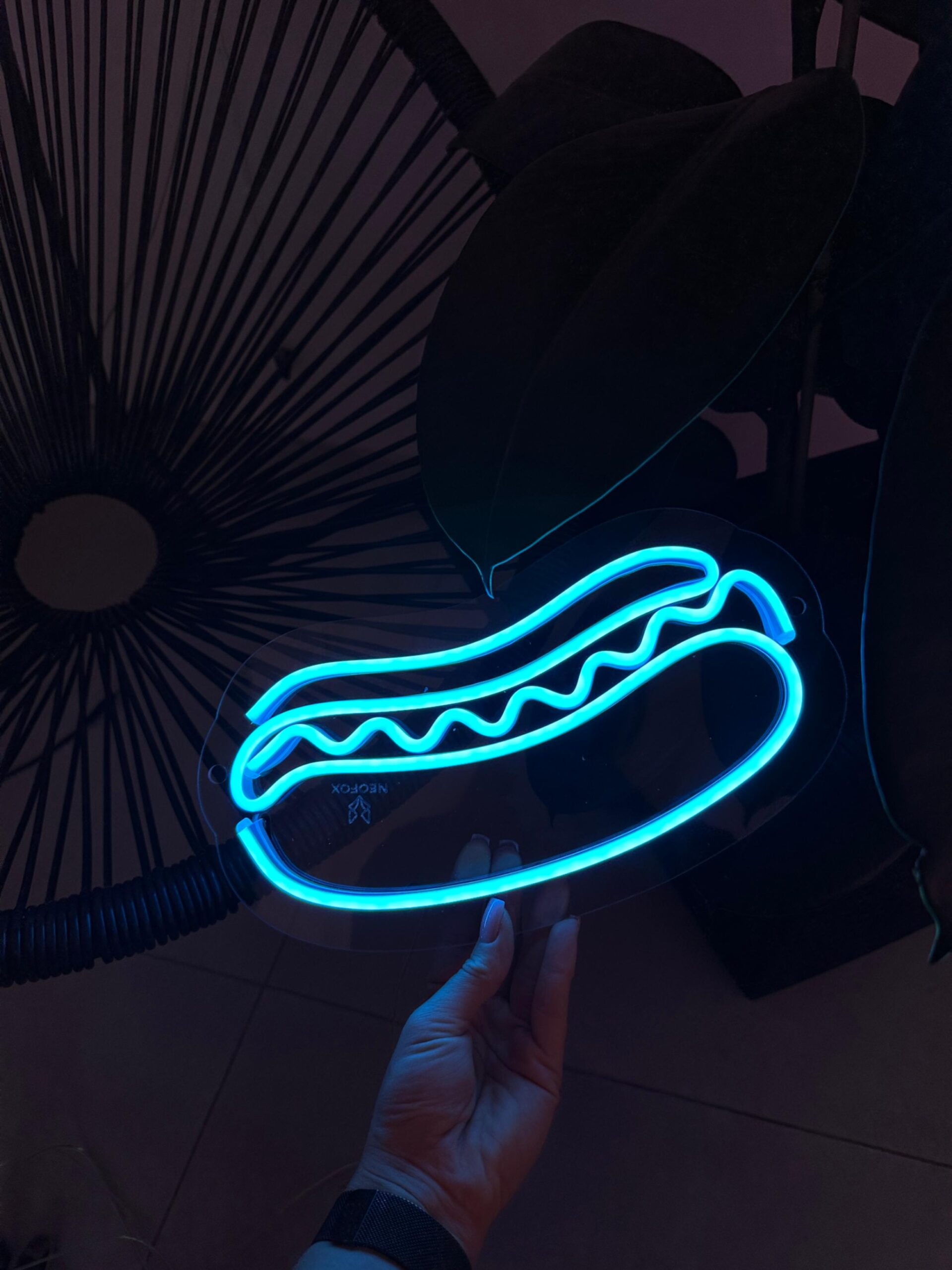 jpeg-optimizer_IMG_5895 "Hotdog" Neon Led - obrazek 1