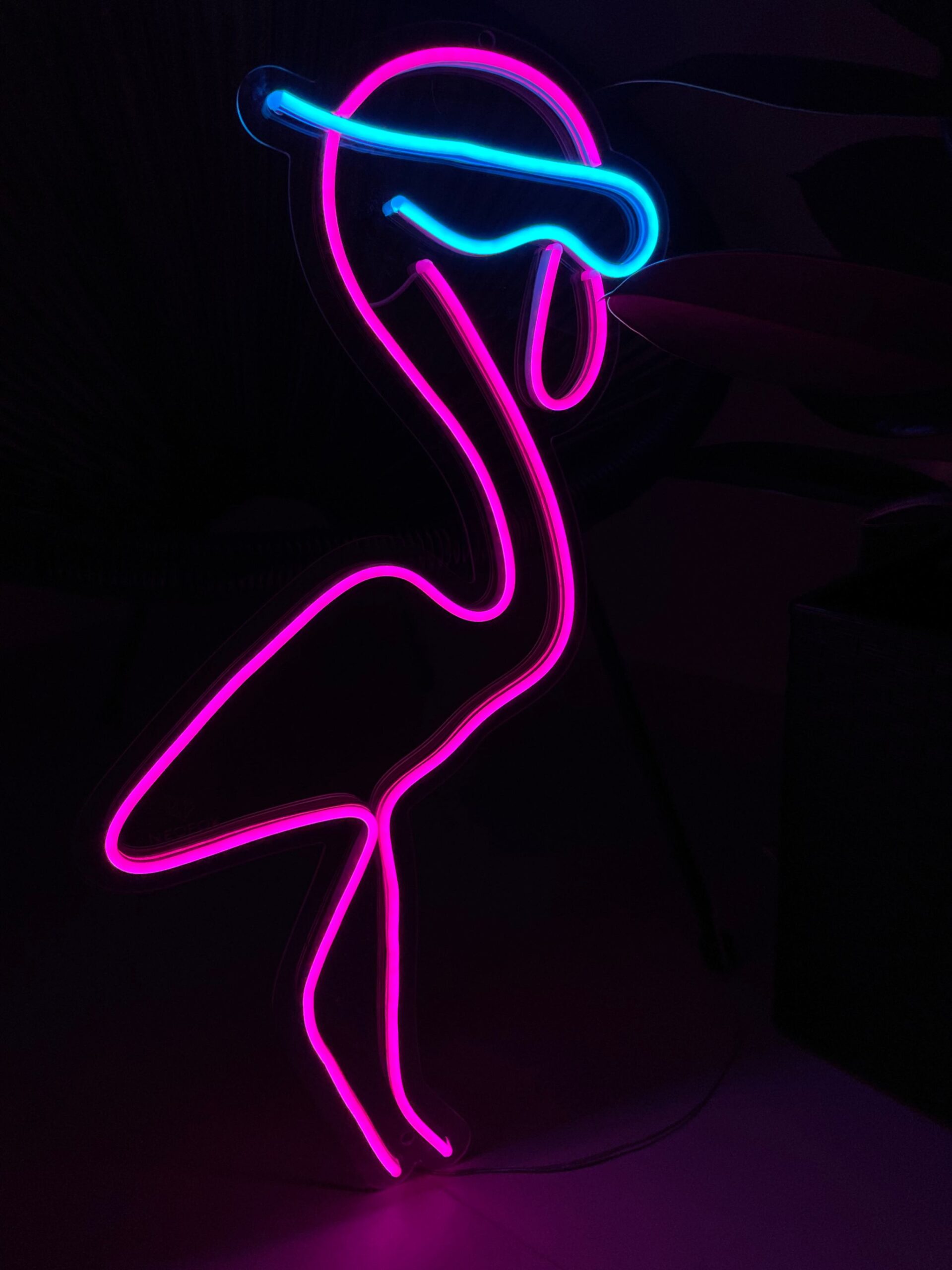 jpeg-optimizer_IMG_8977 "Flamingi w okularach" Neon Led - obrazek 1