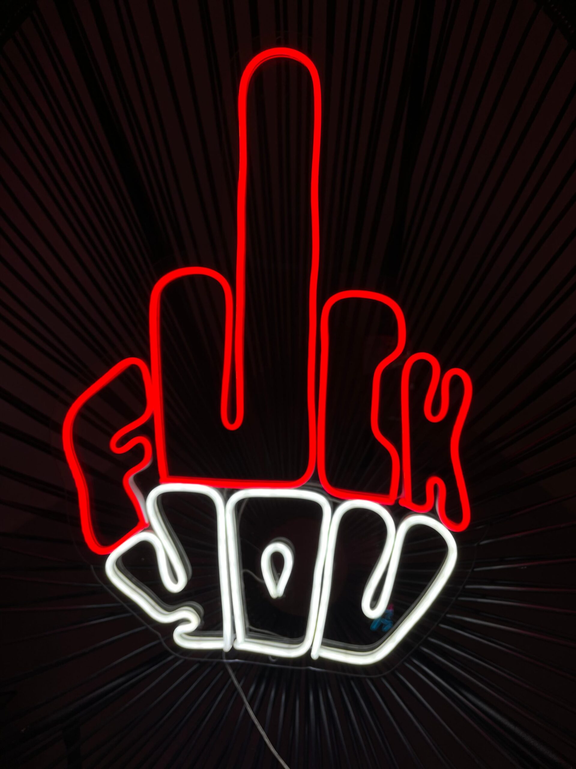 jpeg-optimizer_IMG_8996 "Fuck you" Neon Led - obrazek 1